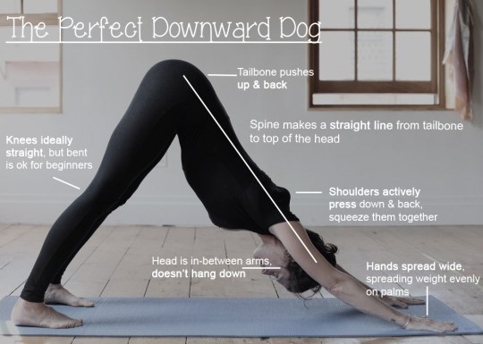 downward-dog-technique1