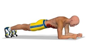 plank-658x370